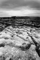 Burren limestone platform, Co.Clare